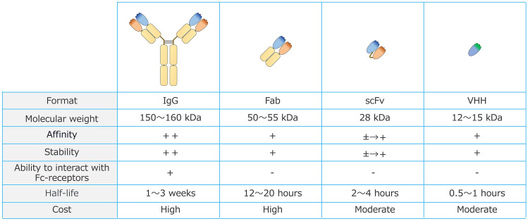 Next-Generation Anti-TNFα Agents: The Example of Ozoralizumab - PMC