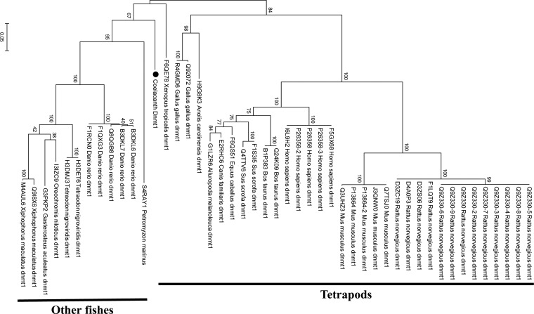 Figure 6.