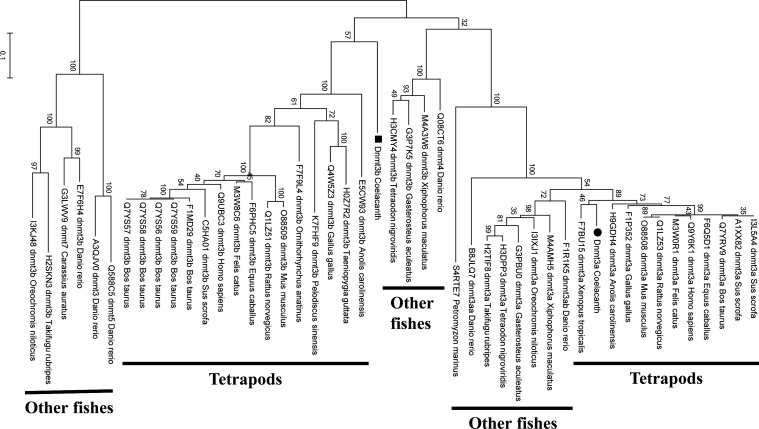 Figure 5.