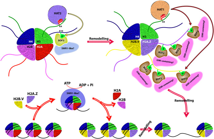 FIG 2