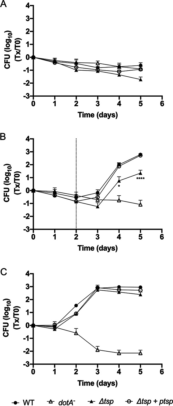 FIG 2