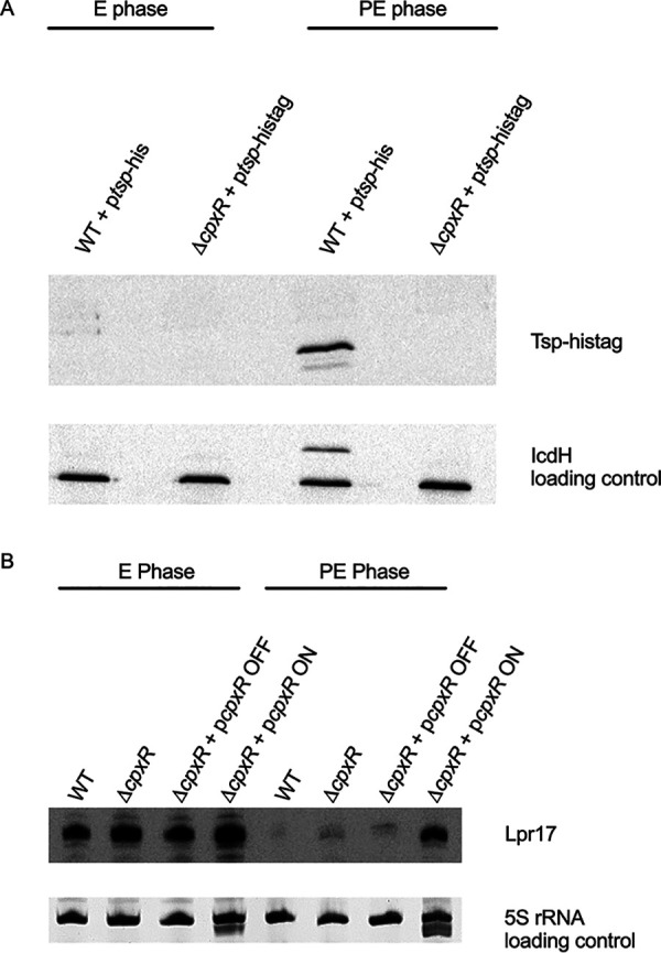 FIG 6