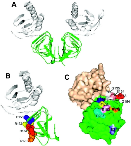 FIG. 10.