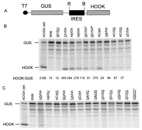 FIG. 2.