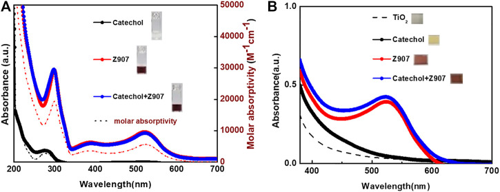 FIGURE 3