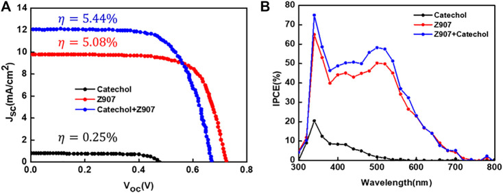 FIGURE 4