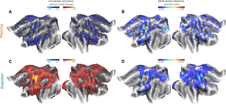 Figure 2—figure supplement 2.