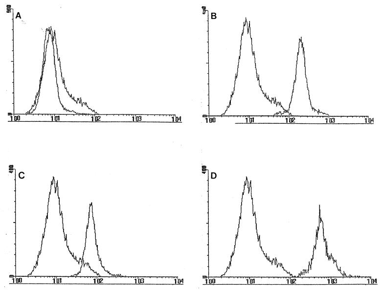 FIG. 1