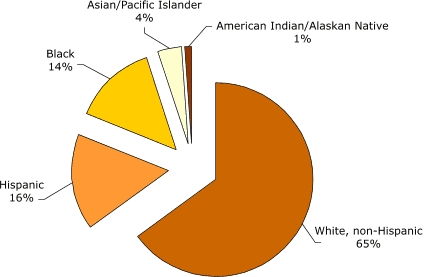 Pie chart