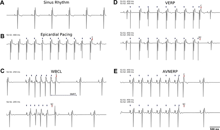 Figure 3: