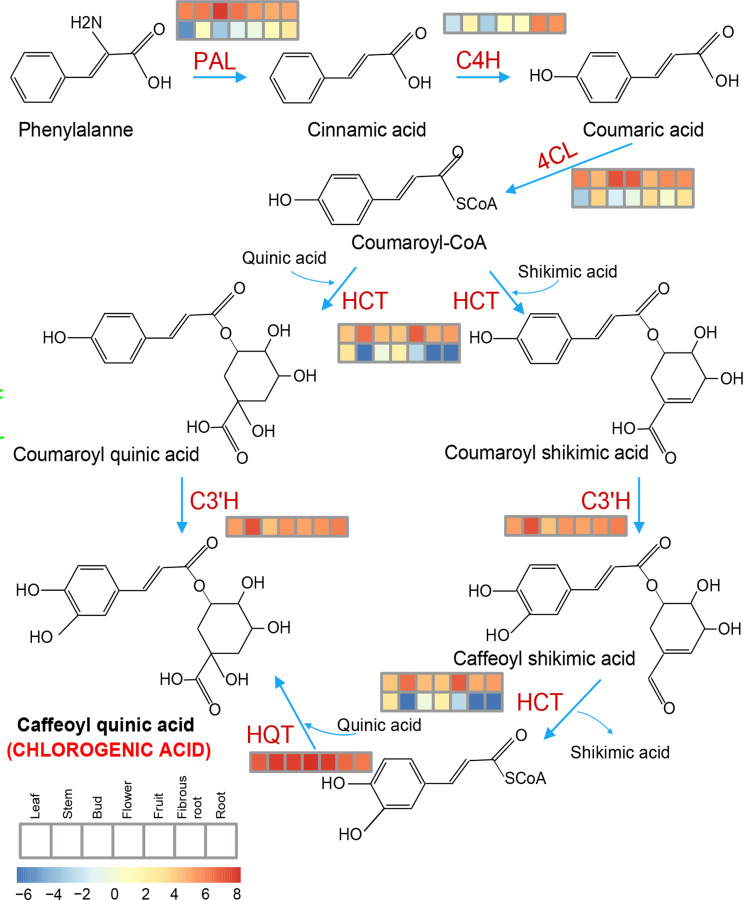 Figure 10