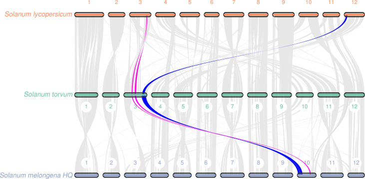Figure 5