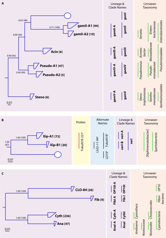 FIG. 7.