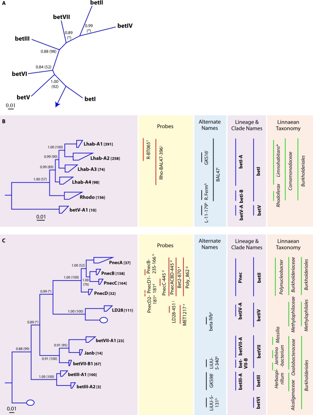 FIG. 6.