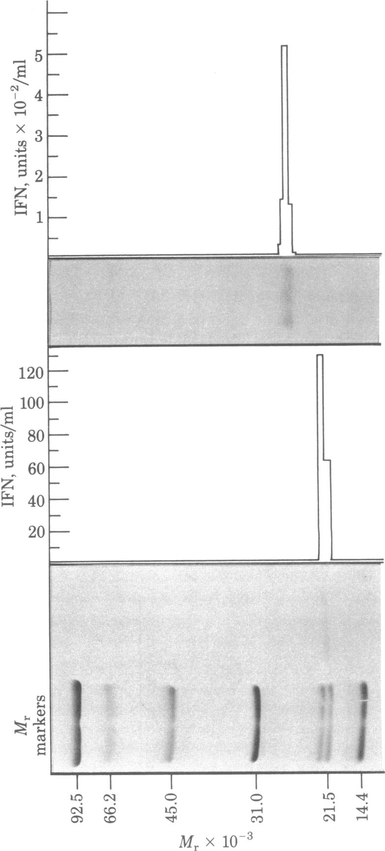 graphic file with name pnas00445-0148-a.jpg