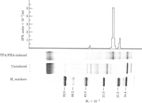 graphic file with name pnas00445-0147-a.jpg