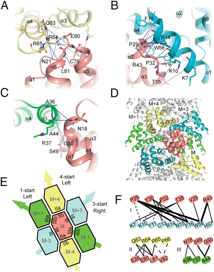 Fig. 6.