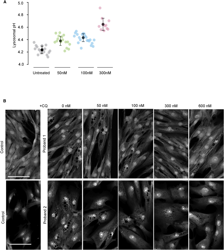 Figure 6