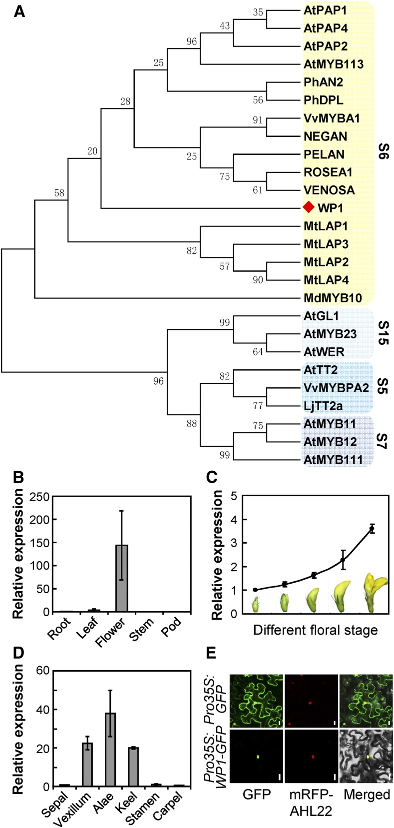 Figure 3.