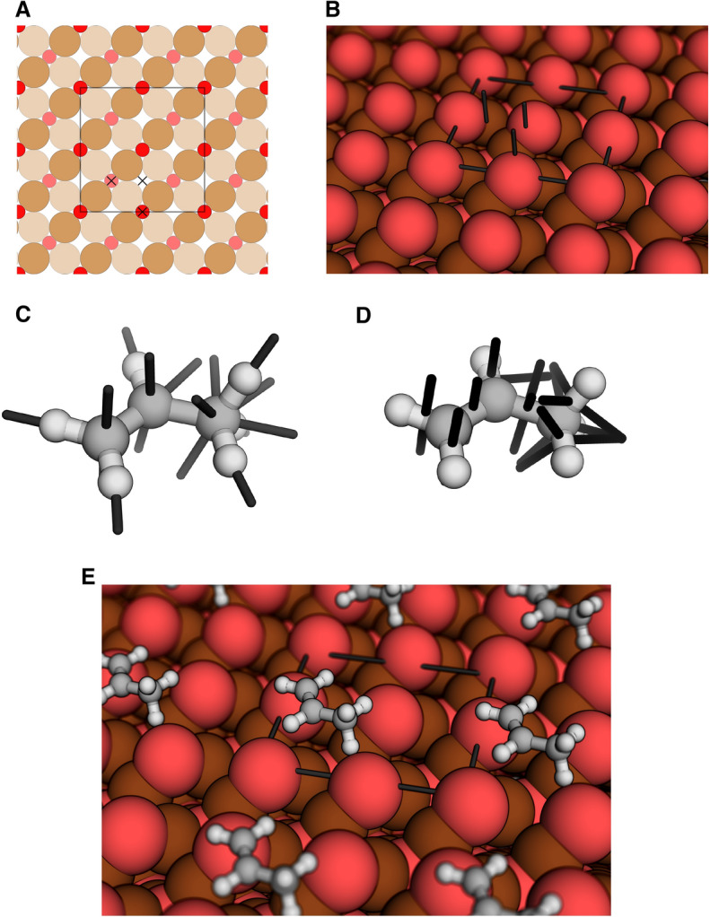 Fig. 8