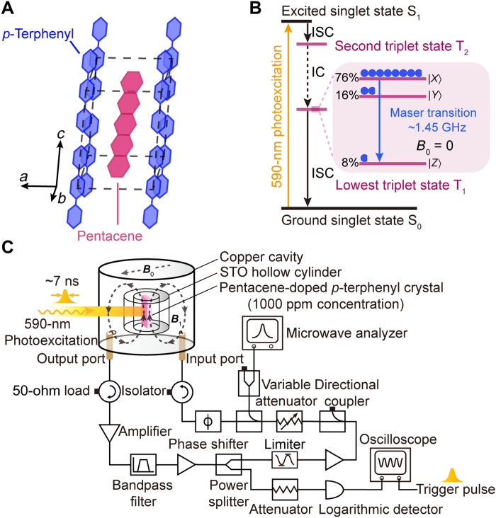 Fig. 2.