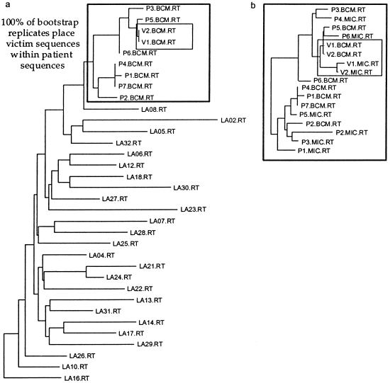 Fig 2.