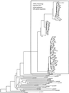 Fig 1.