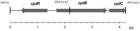 FIG. 1.