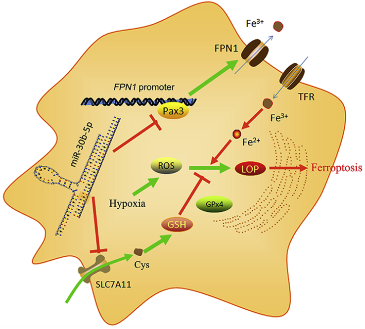 Fig. 10