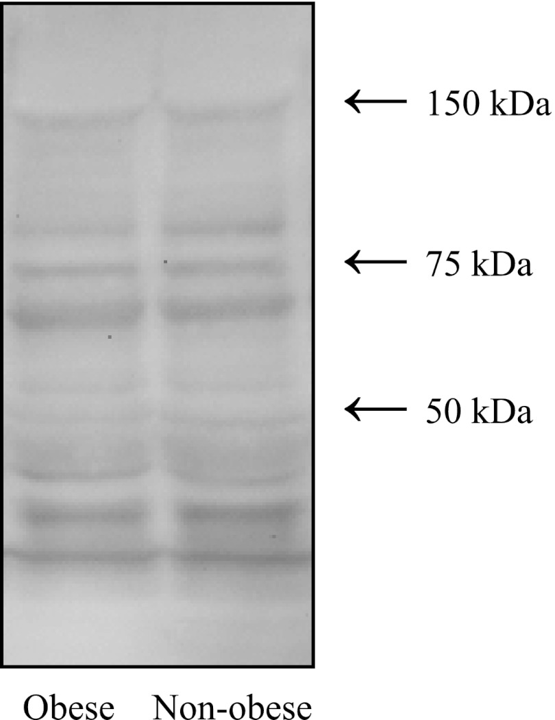 Fig. 10.