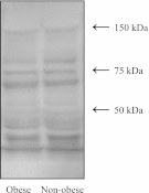 Fig. 10.