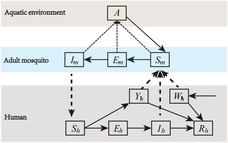 Fig 4