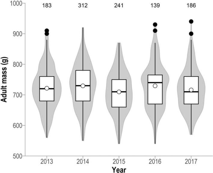 FIGURE 2