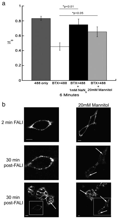 Fig. 9