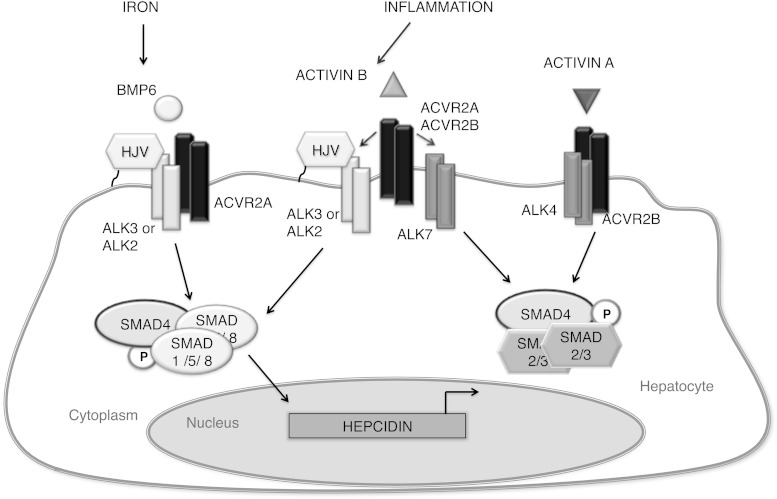 Figure 10.