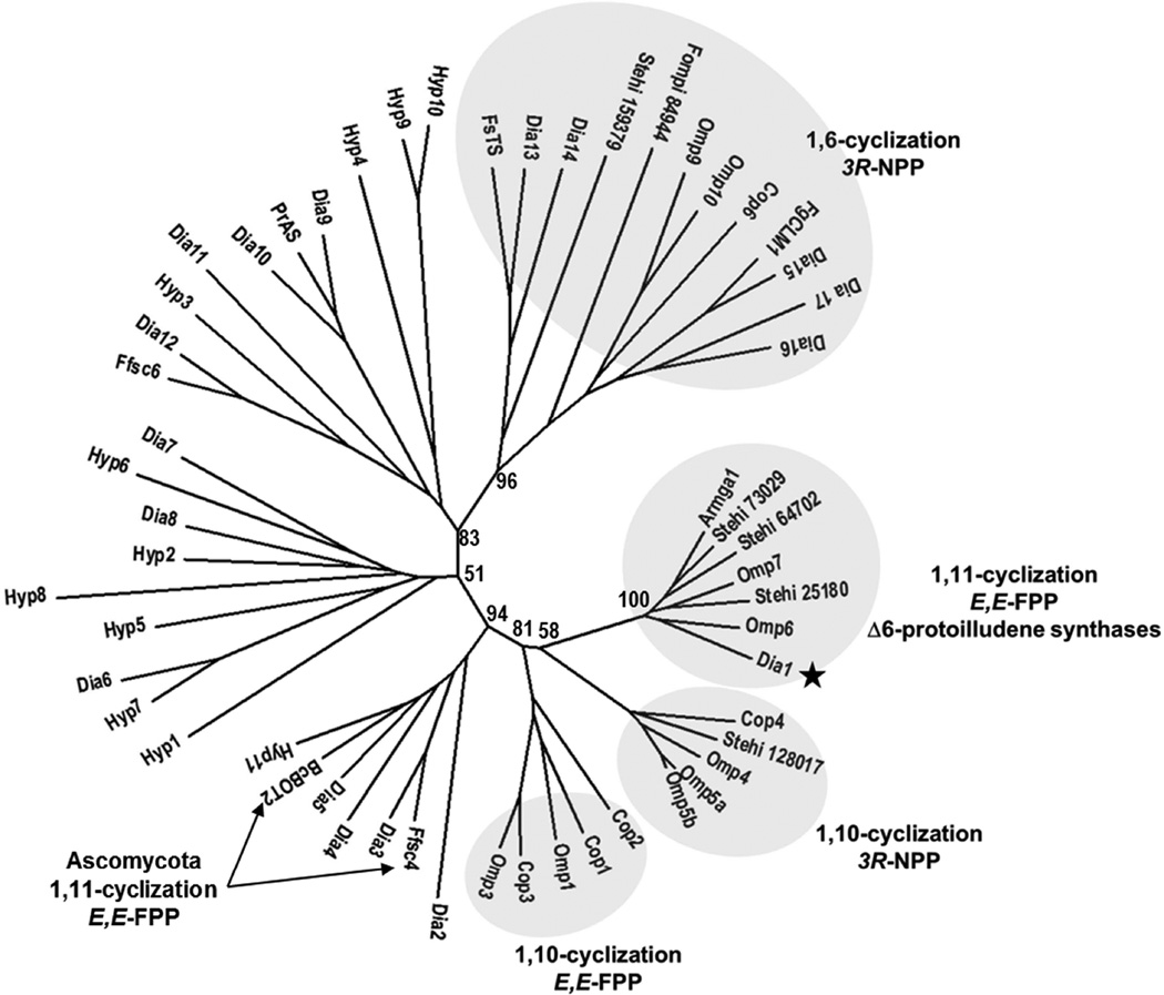 Fig 4