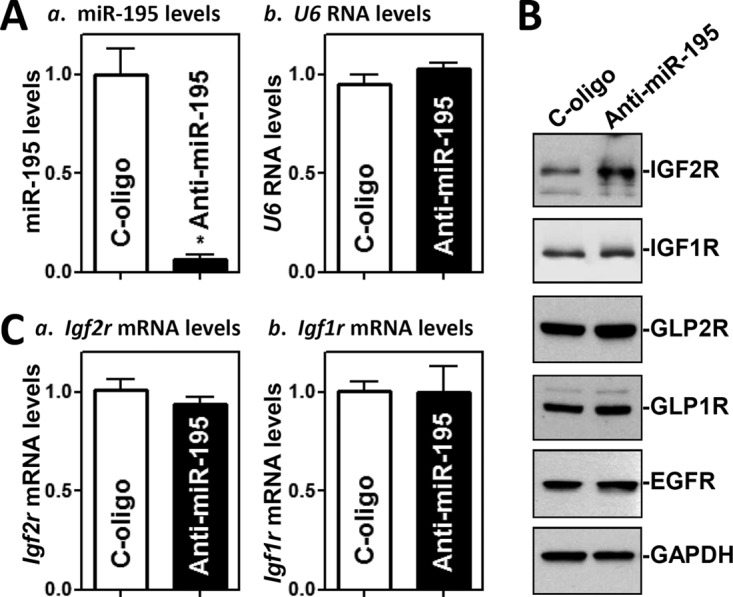 FIG 2