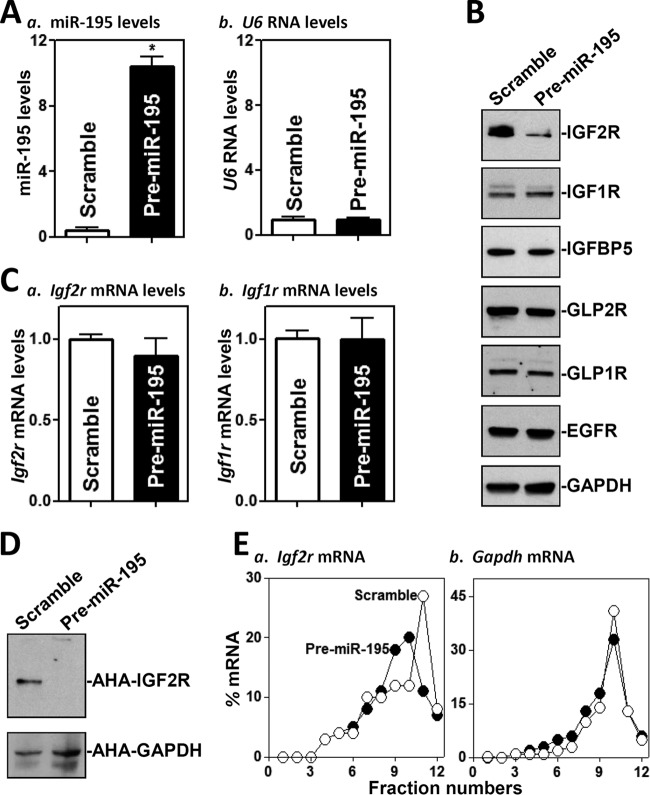 FIG 1