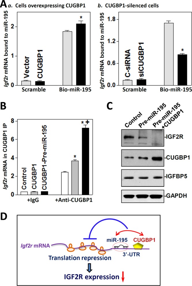 FIG 6