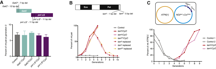 Figure 2