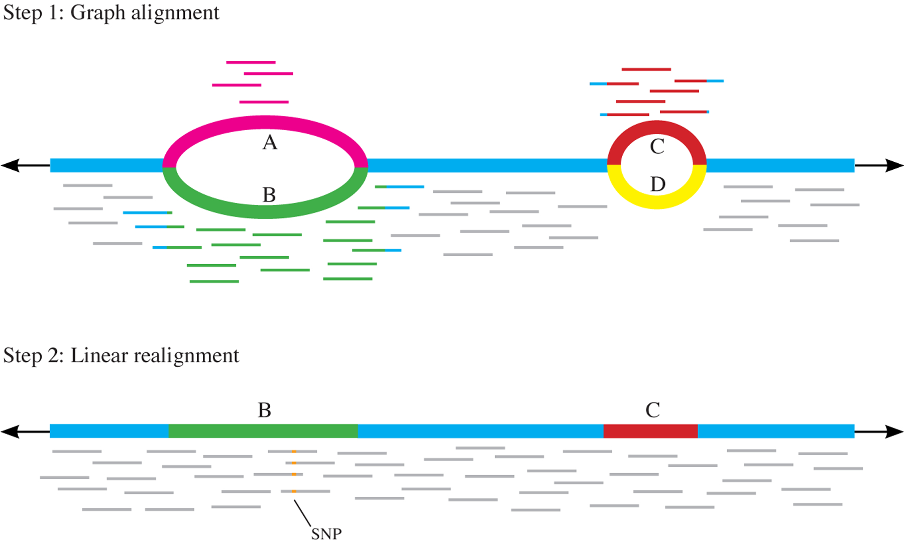 Fig. 4 |