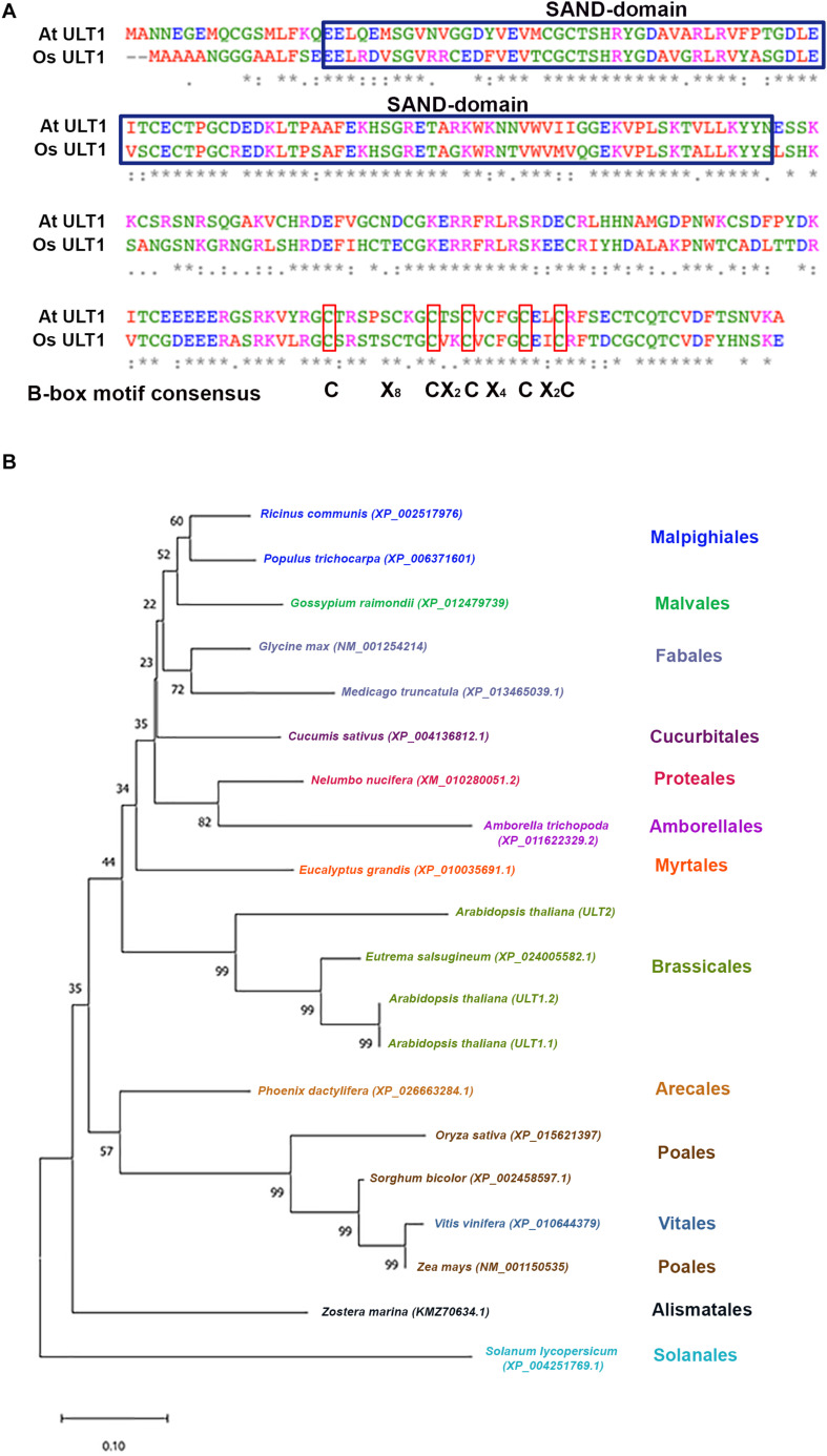 FIGURE 2