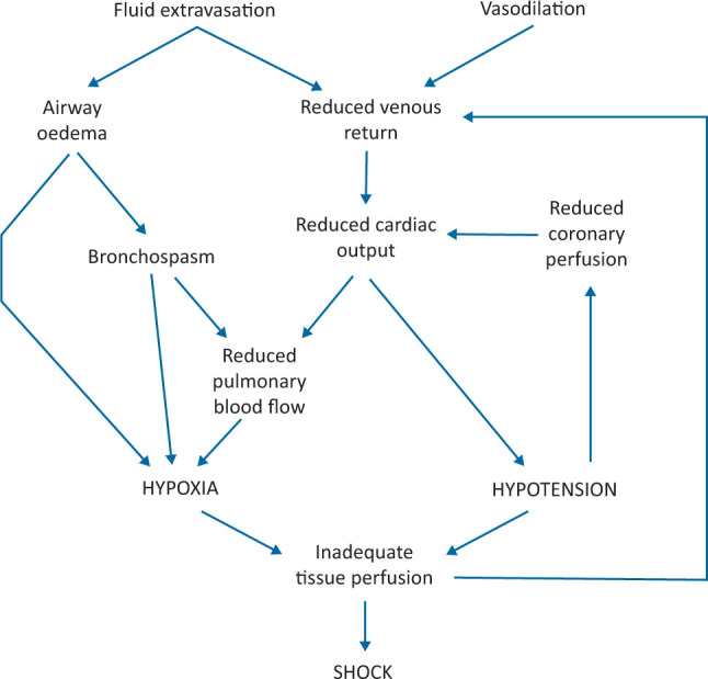 Fig 4.