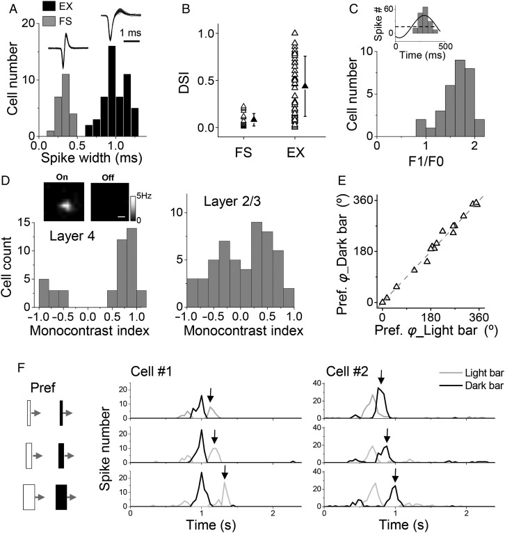 Figure 1.