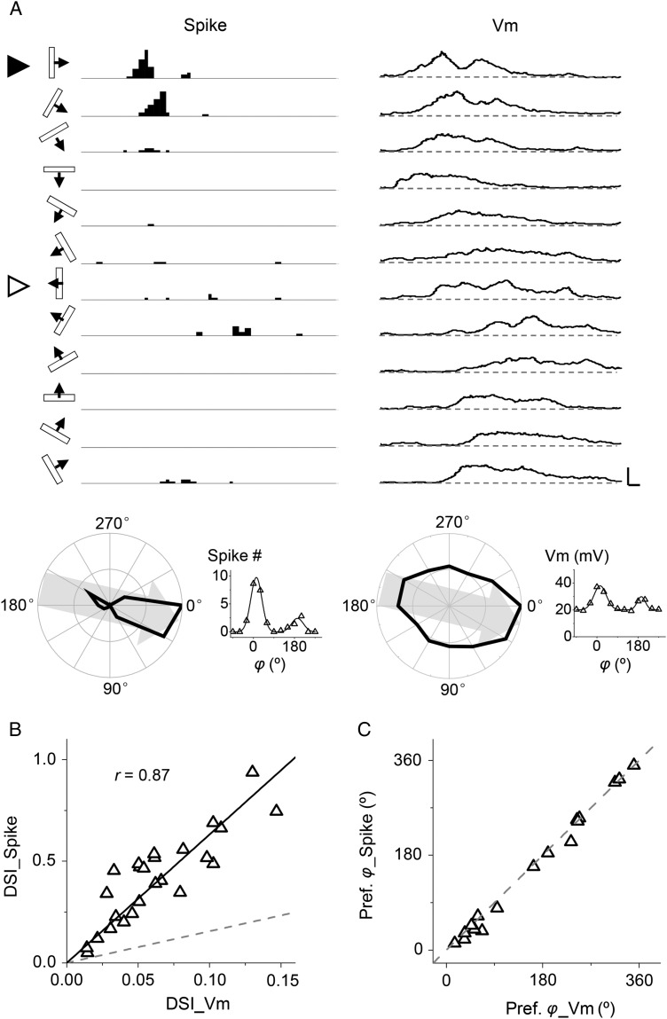 Figure 2.