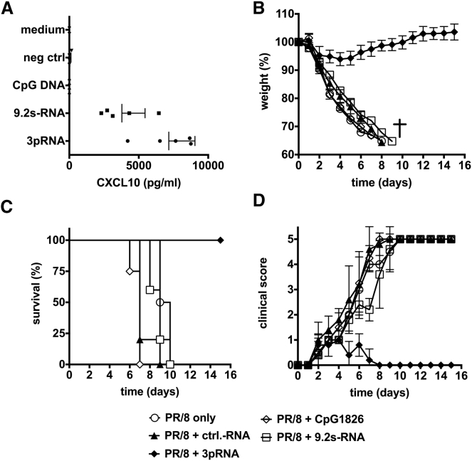 Figure 5