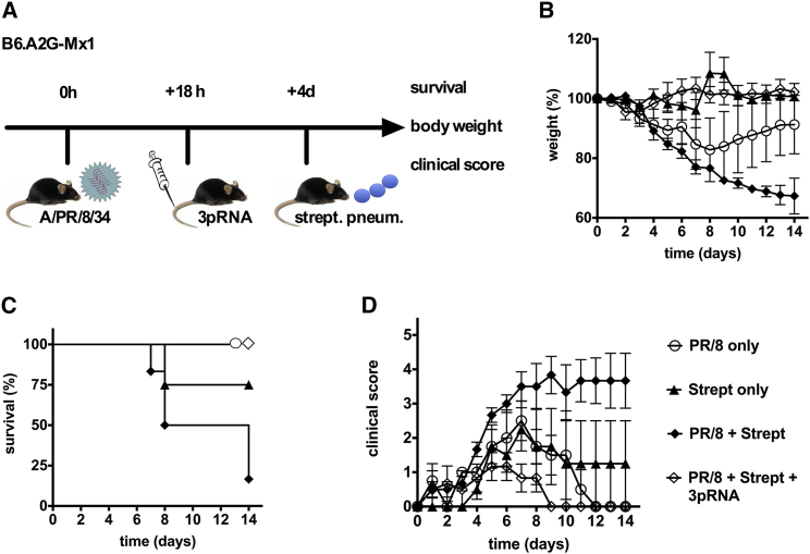 Figure 6