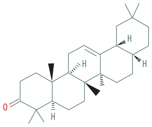 graphic file with name medscimonitbasicres-25-88-g007.jpg