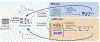 Extended Data Fig. 3 |