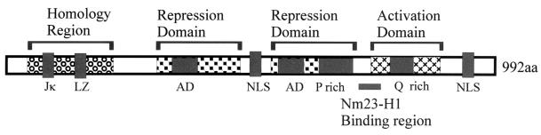 FIG. 1.